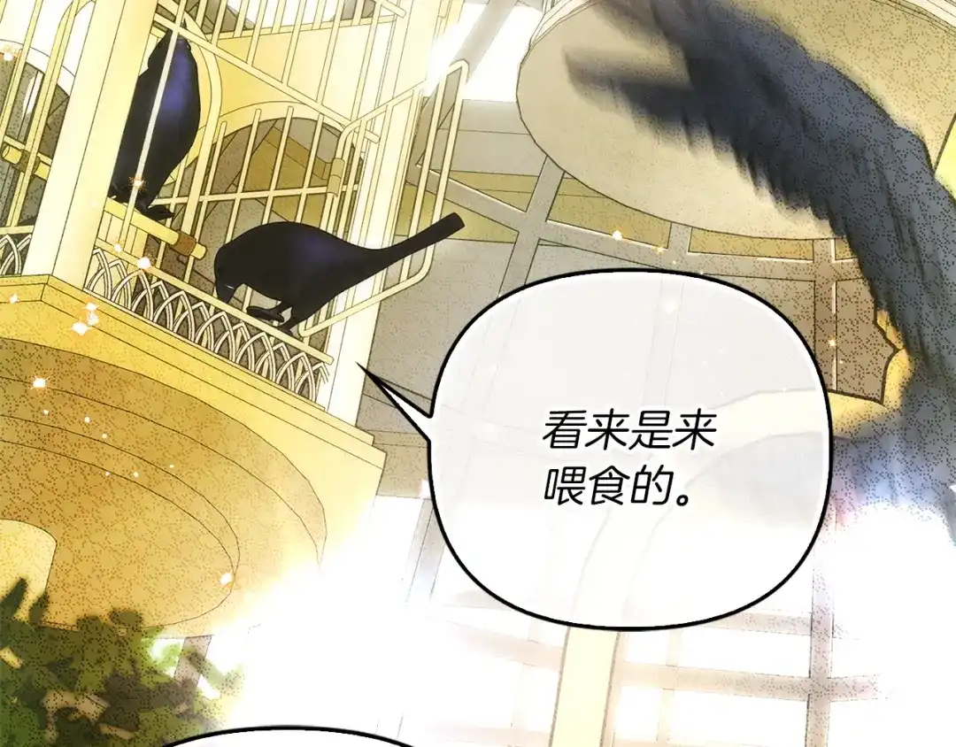 勇敢小狗来拯救恶女姐姐啦！ 第18话 鸟儿情报商 第209页