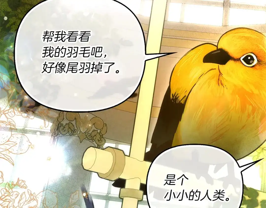 勇敢小狗来拯救恶女姐姐啦！ 第18话 鸟儿情报商 第210页