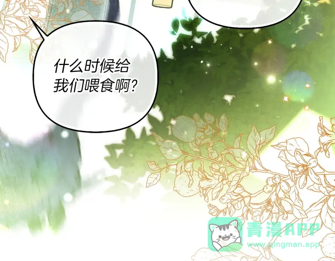 勇敢小狗来拯救恶女姐姐啦！ 第18话 鸟儿情报商 第211页