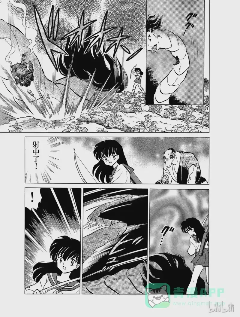 犬夜叉（WIDE版）_h 114 半妖的心情 第11页