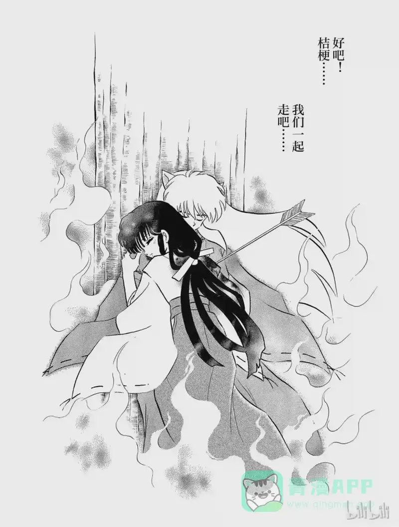 犬夜叉（WIDE版）_h 122 幻影杀 第6页