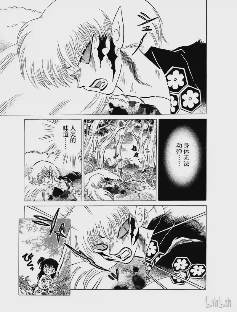 犬夜叉（WIDE版）_h 129 真正的主人 第17页