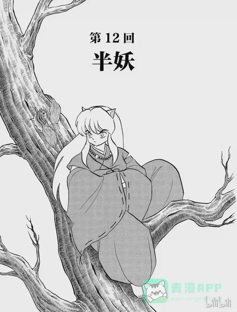犬夜叉（WIDE版）_h 12 半妖 第1页