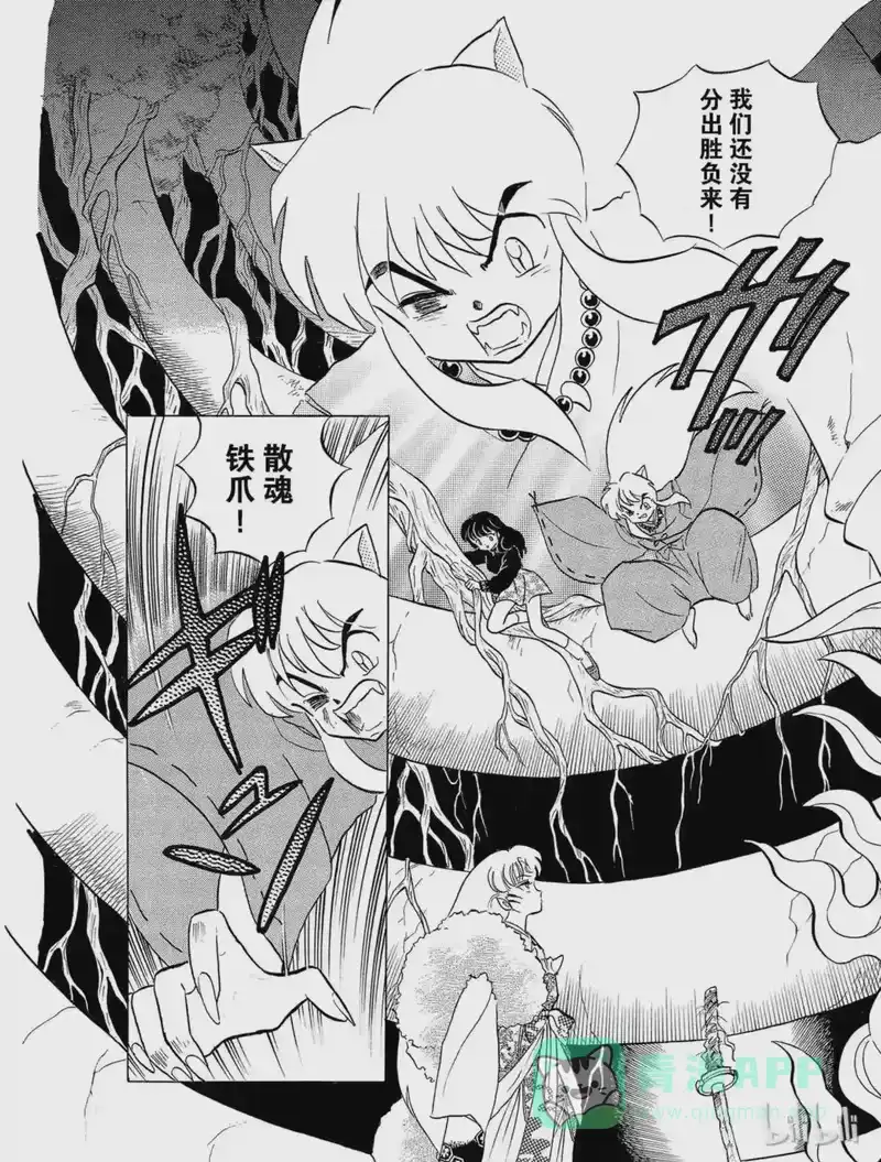 犬夜叉（WIDE版）_h 16 铁碎牙 第6页