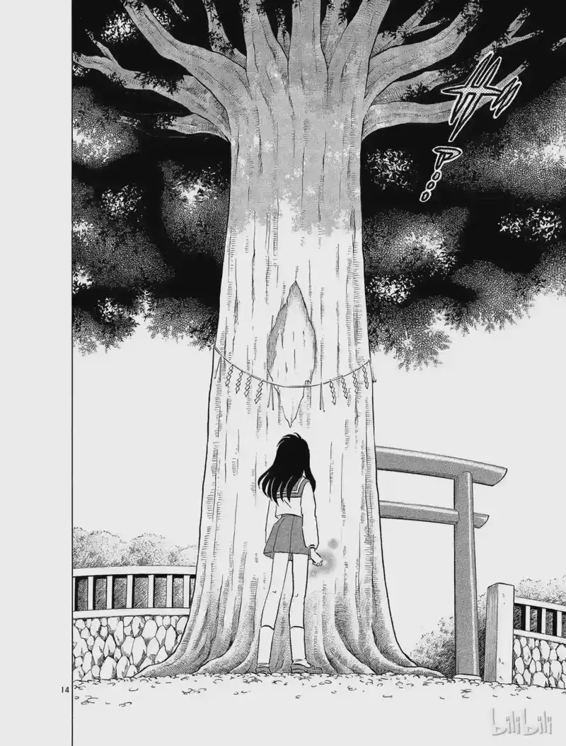 犬夜叉（WIDE版）_h 175 邂逅的地点 第14页