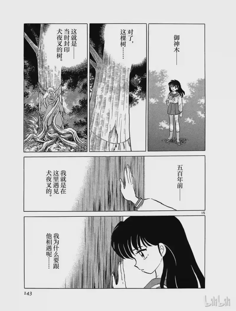 犬夜叉（WIDE版）_h 175 邂逅的地点 第15页