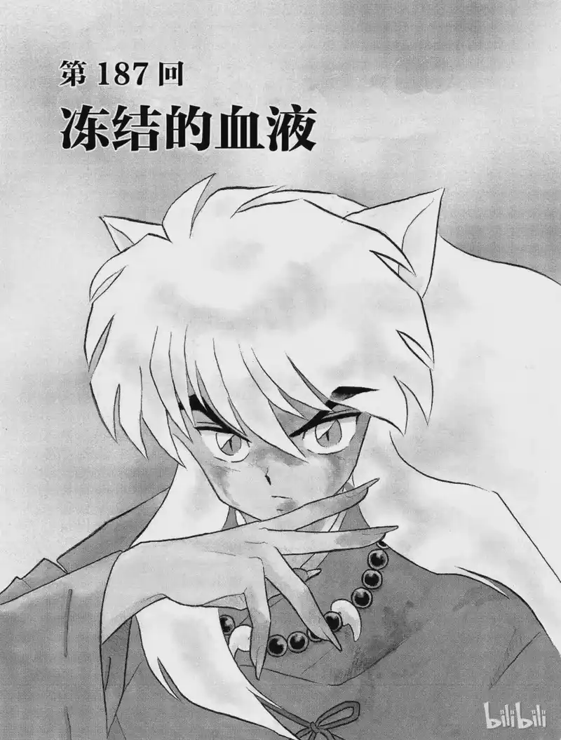 犬夜叉（WIDE版）_h 187 冻结的血液 第3页