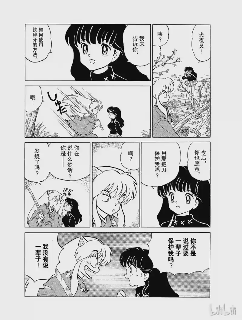犬夜叉（WIDE版）_h 18 形见 第19页