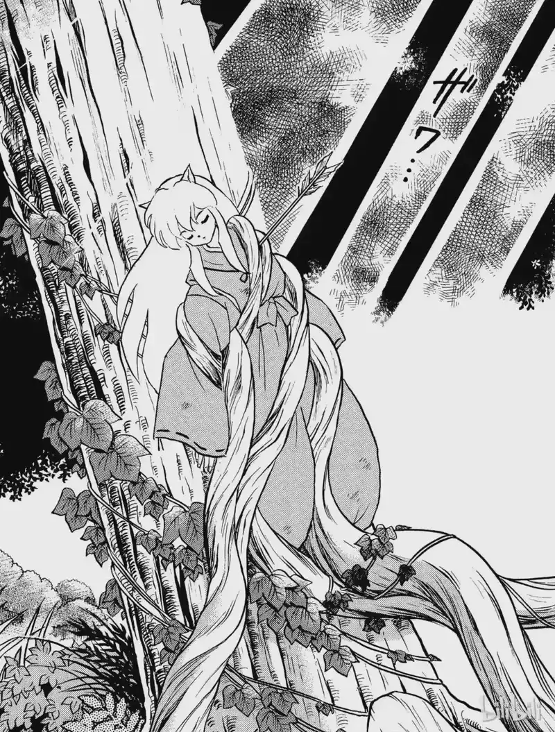 犬夜叉（WIDE版）_h 1 被封印的少年 第23页
