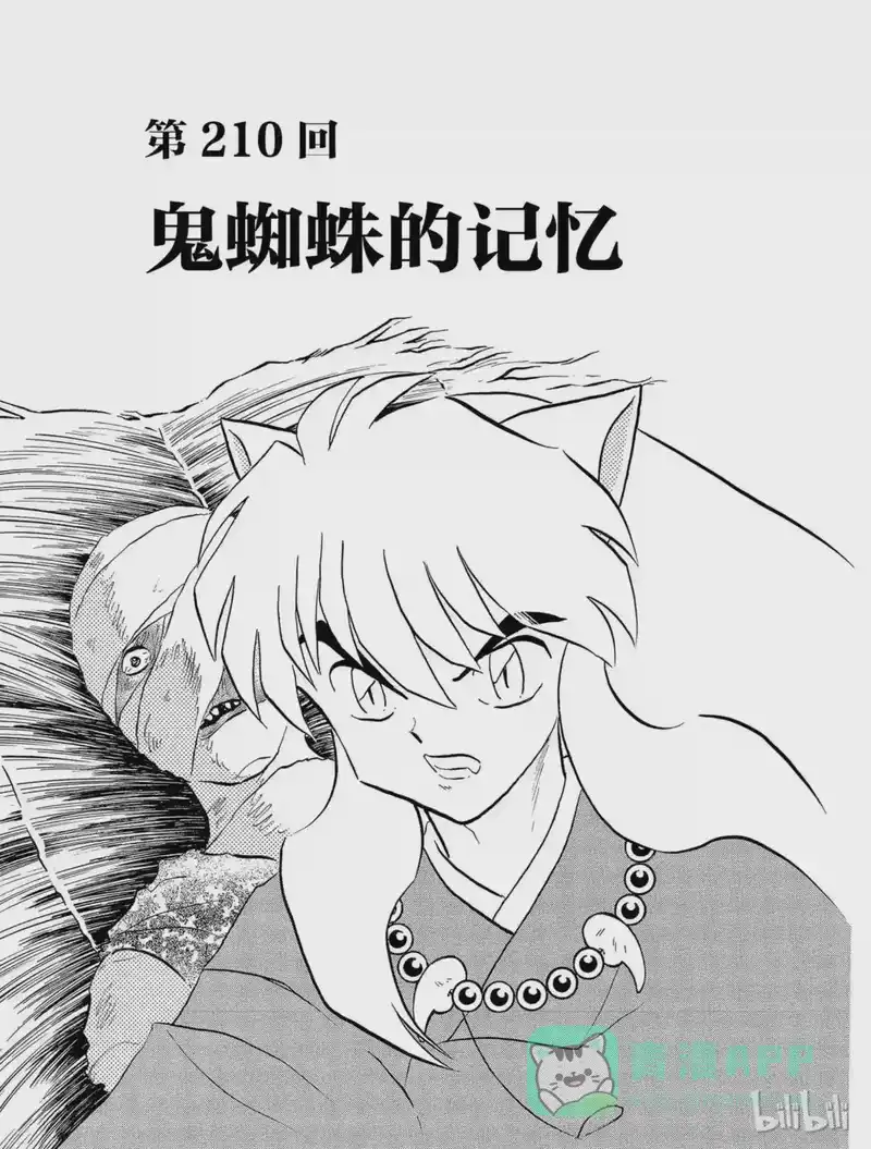 犬夜叉（WIDE版）_h 210 鬼蜘蛛的记忆 第1页
