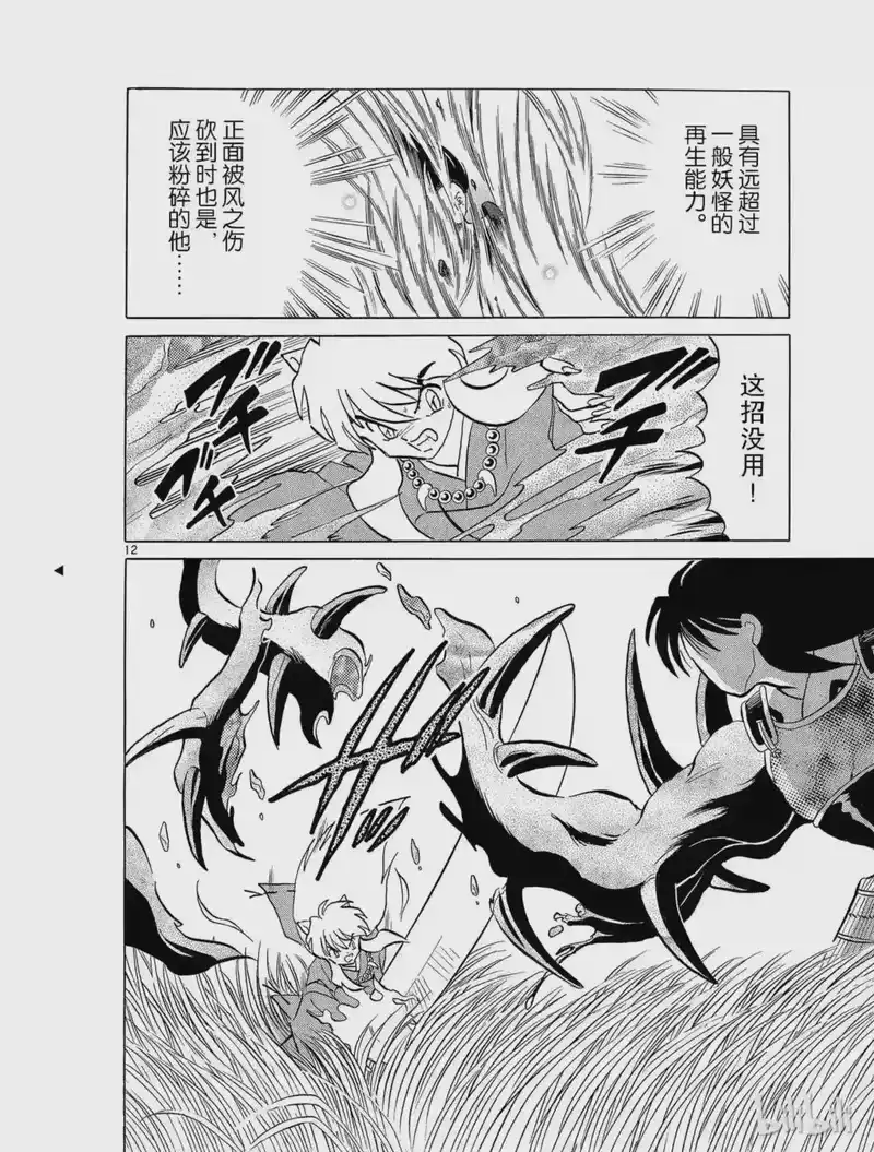 犬夜叉（WIDE版）_h 211 鬼蜘蛛的无双 第12页