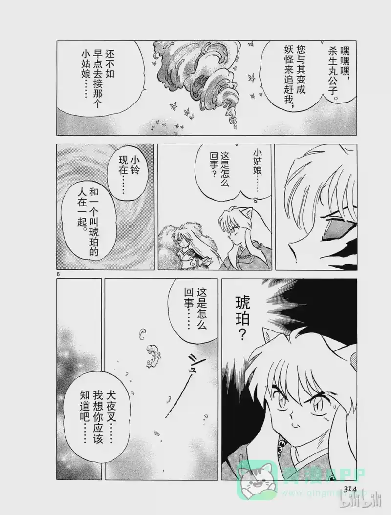 犬夜叉（WIDE版）_h 222 对琥珀的暗示 第6页