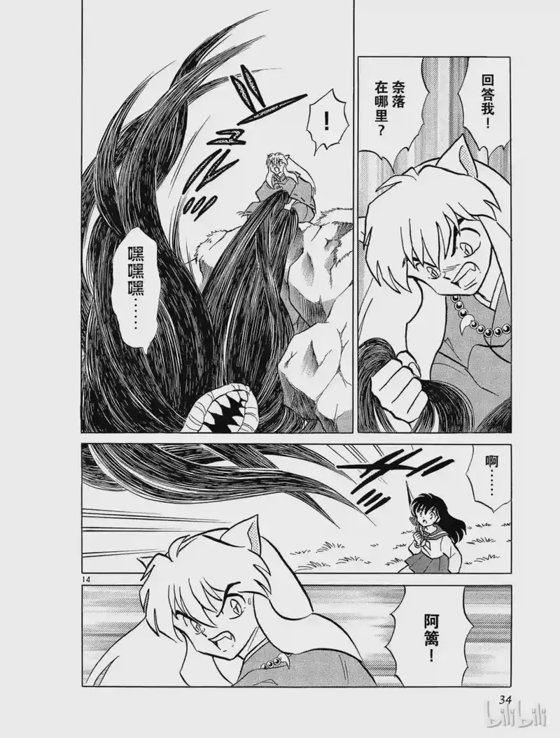 犬夜叉（WIDE版）_h 225 城池遗址的妖怪 第14页