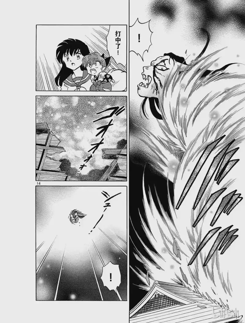 犬夜叉（WIDE版）_h 231 巨大的邪气 第14页