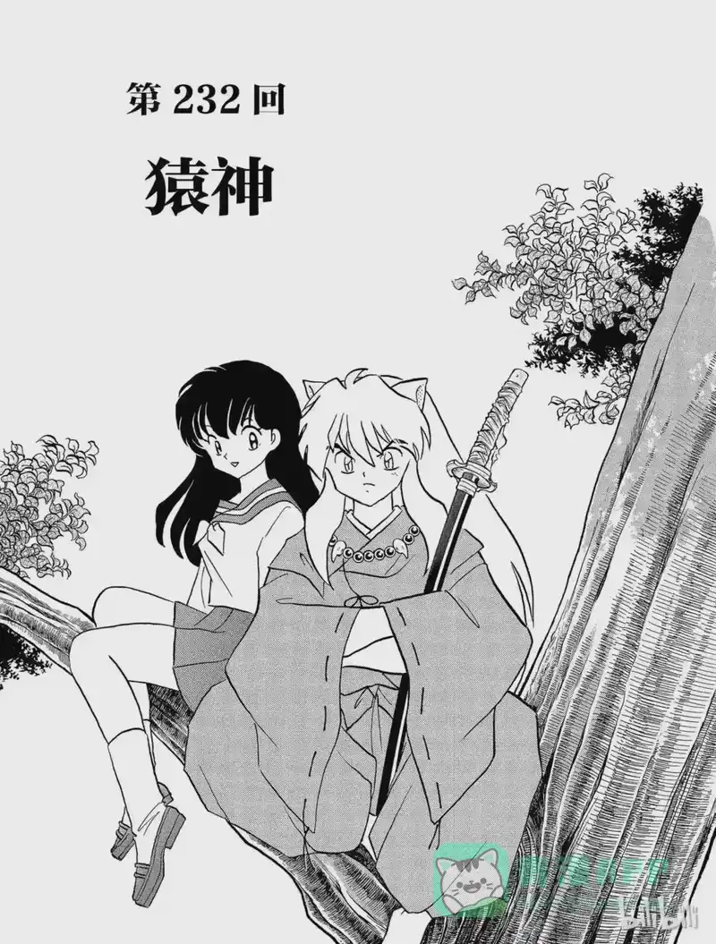 犬夜叉（WIDE版）_h 232 猿神 第1页