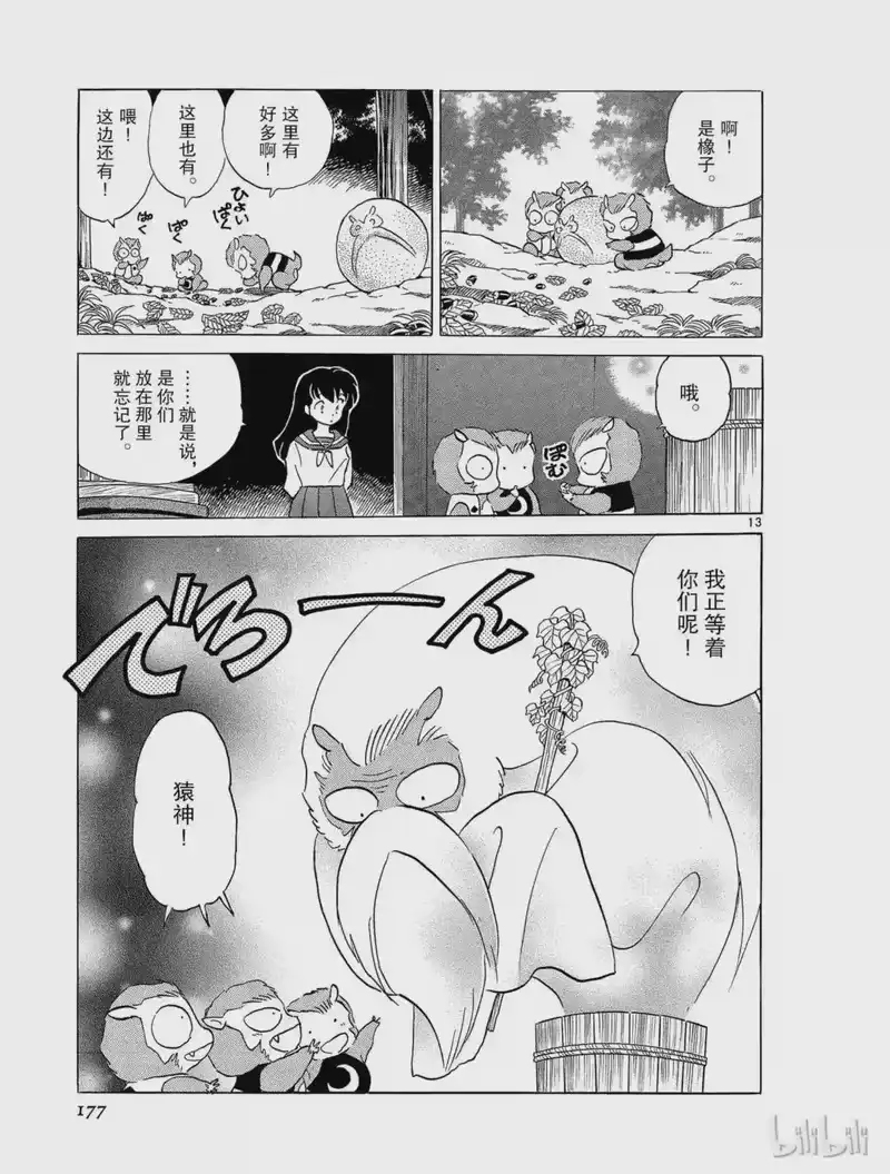 犬夜叉（WIDE版）_h 233 神体的去向 第13页