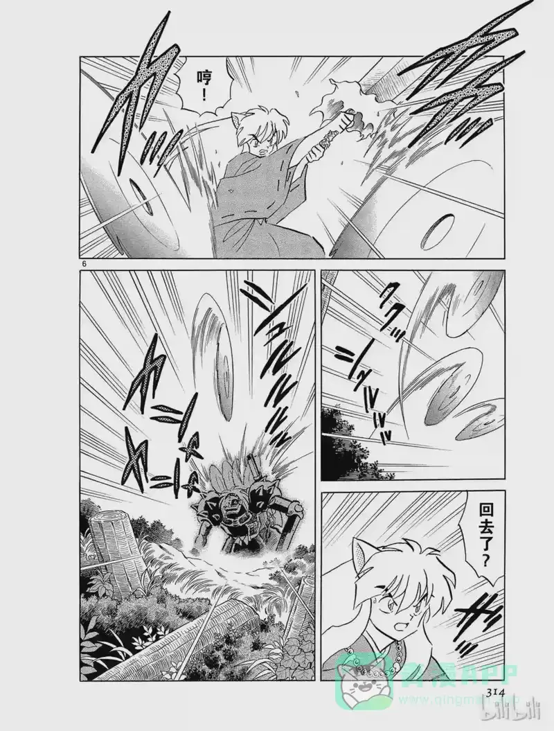 犬夜叉（WIDE版）_h 241 银骨 第6页