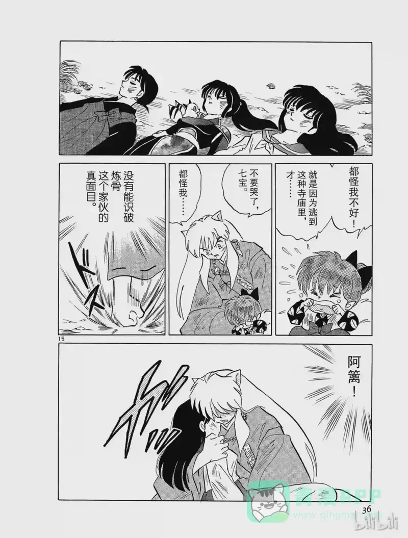 犬夜叉（WIDE版）_h 244 伙伴的生命 第16页
