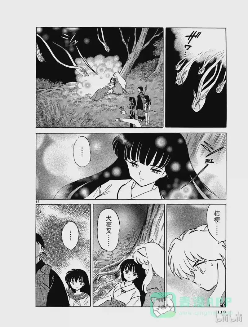 犬夜叉（WIDE版）_h 248 两颗心 第16页