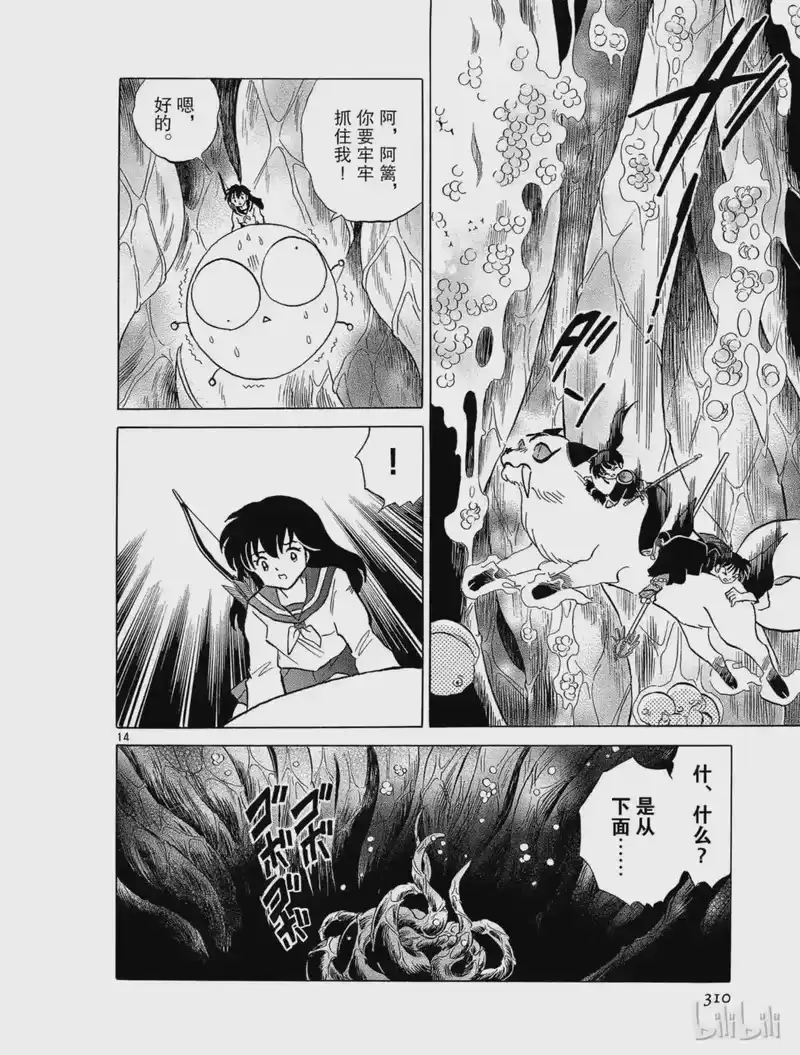 犬夜叉（WIDE版）_h 277 肉壁 第14页