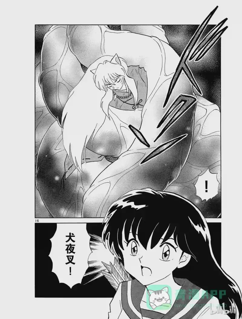 犬夜叉（WIDE版）_h 277 肉壁 第16页