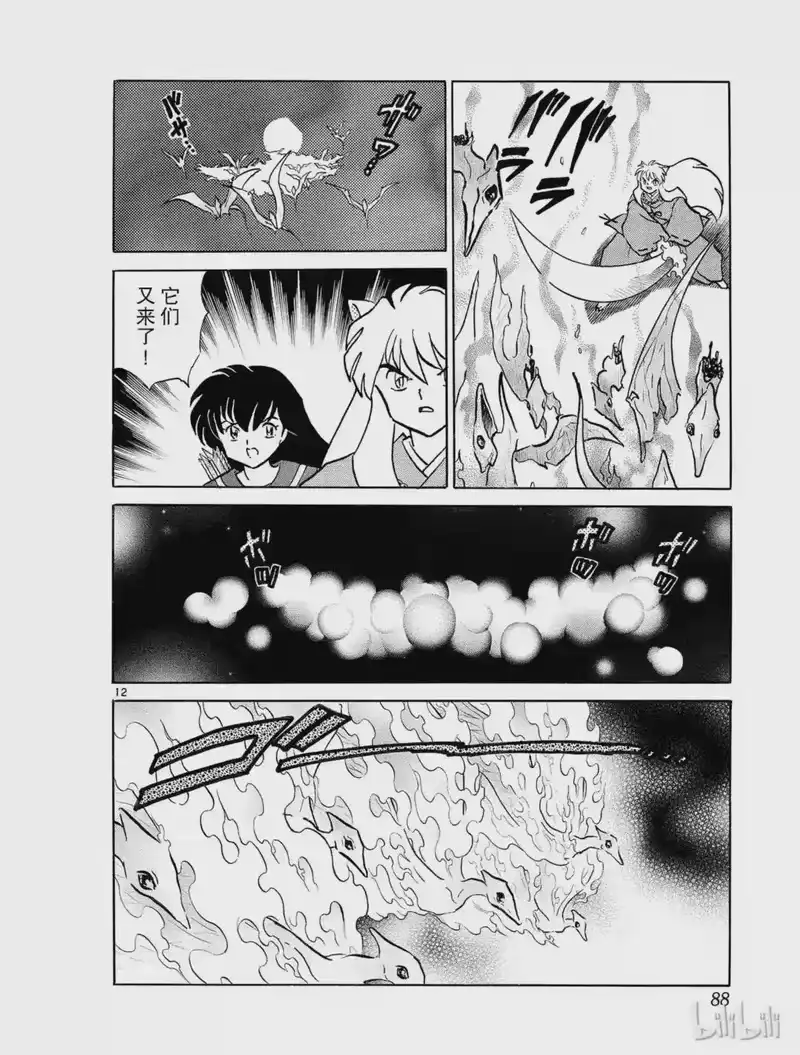 犬夜叉（WIDE版）_h 302 阿毗姬 第12页