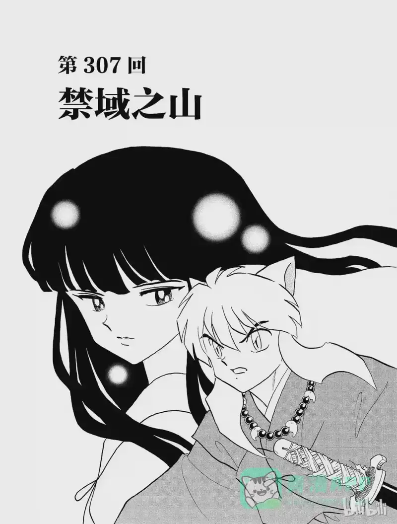 犬夜叉（WIDE版）_h 307 禁域之山 第1页