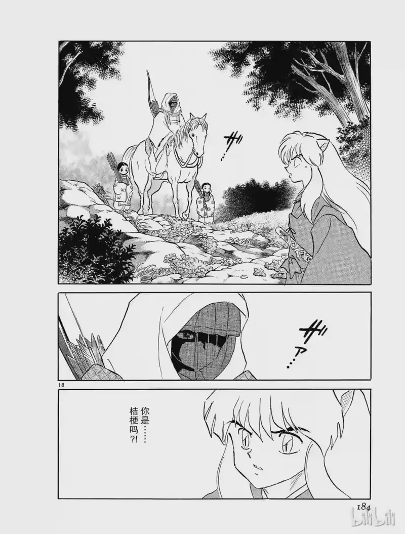 犬夜叉（WIDE版）_h 307 禁域之山 第18页