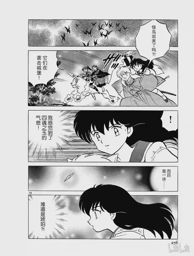 犬夜叉（WIDE版）_h 311 城堡 第18页