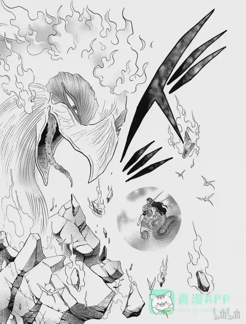 犬夜叉（WIDE版）_h 317 铁鸡 第6页