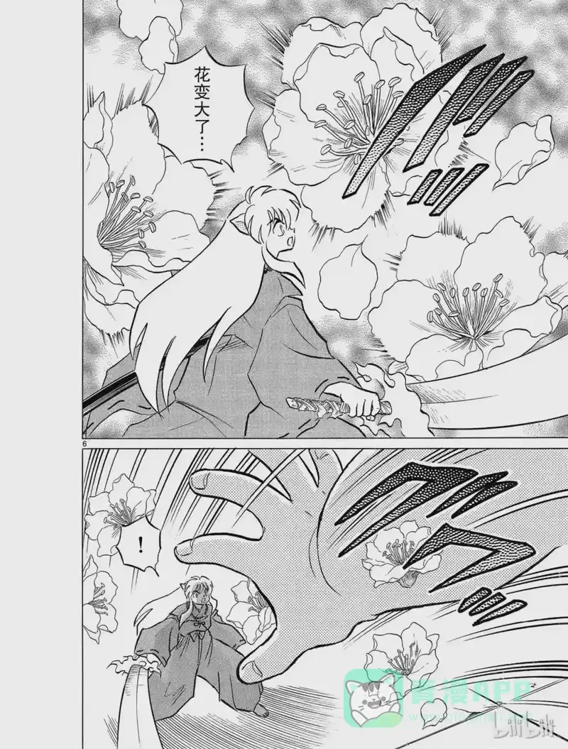 犬夜叉（WIDE版）_h 80 庭院盆景 第6页