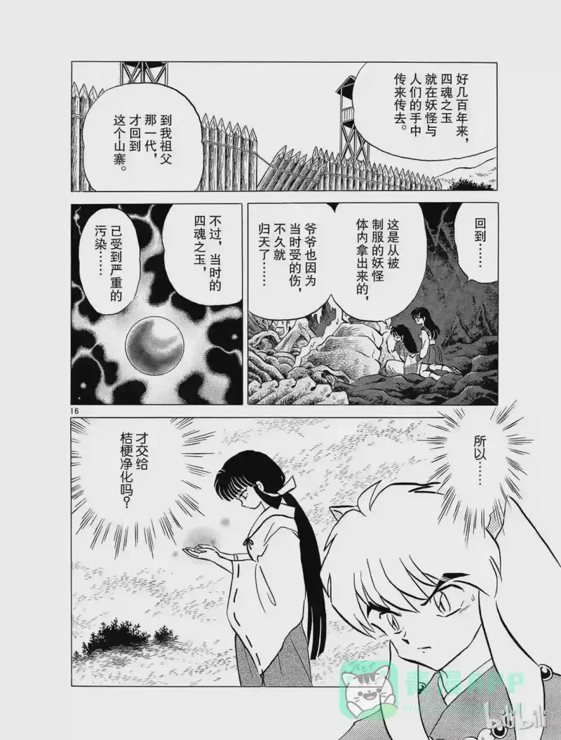 犬夜叉（WIDE版）_h 94 玉的诞生 第16页