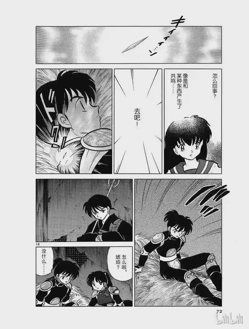 犬夜叉（WIDE版）_h 376 相同的魂 第14页