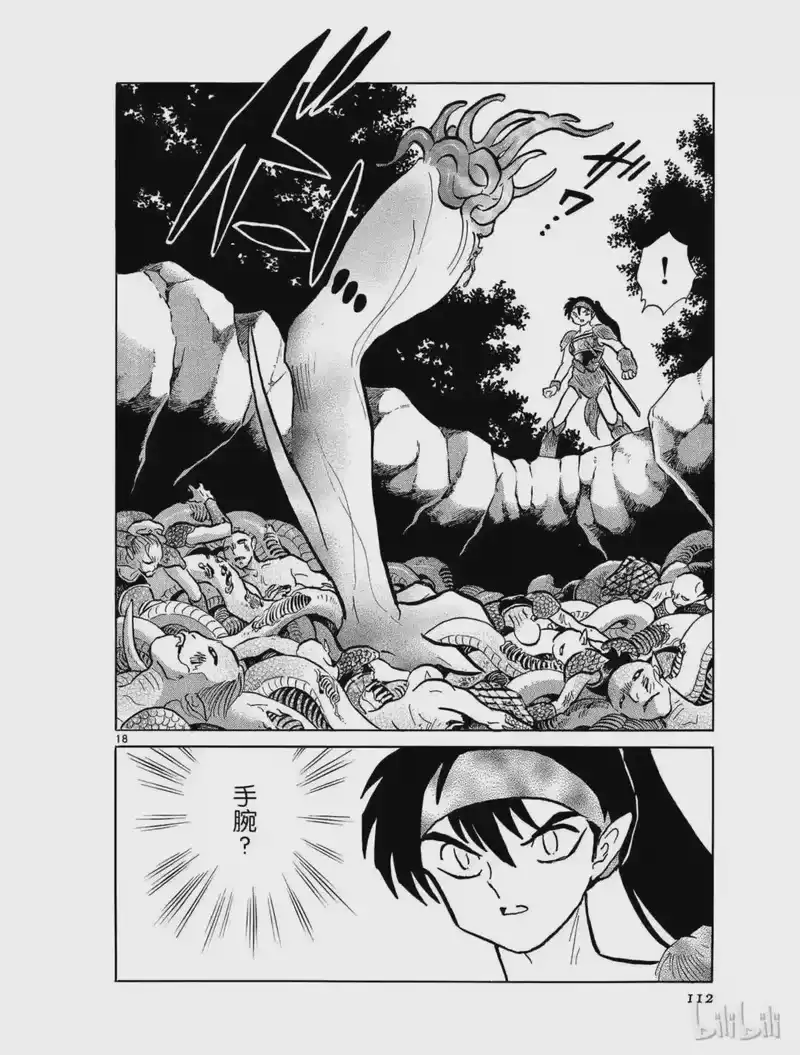 犬夜叉（WIDE版）_h 378 大蛇之巢 第18页
