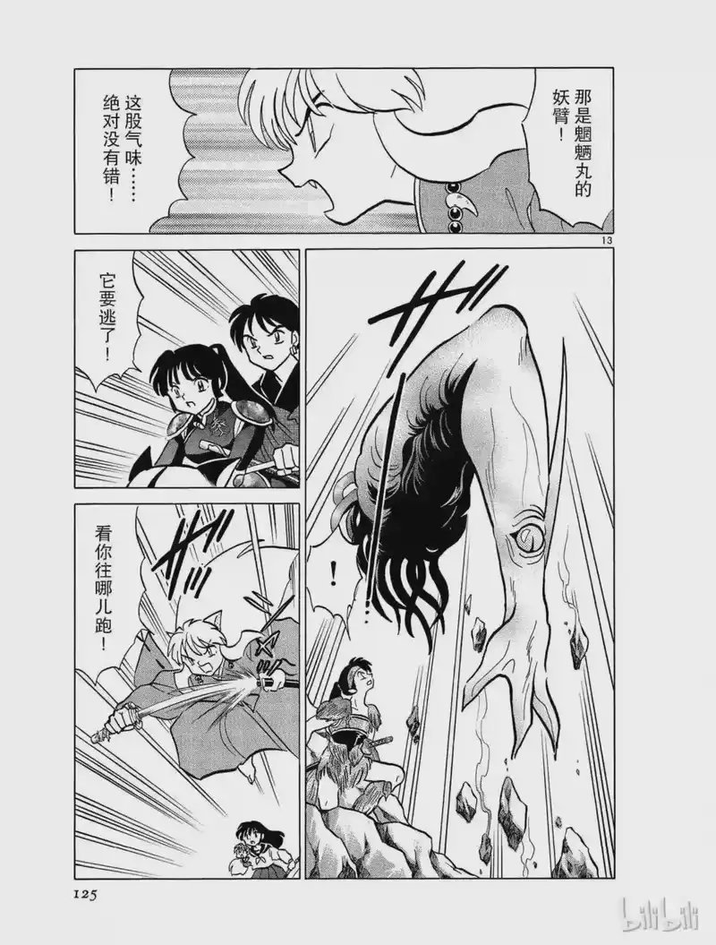 犬夜叉（WIDE版）_h 379 碎片的变异 第13页
