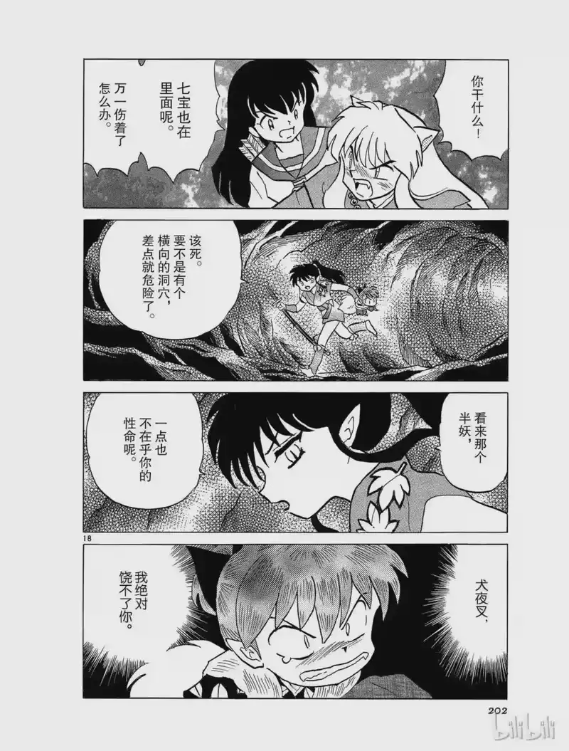 犬夜叉（WIDE版）_h 383 貉子 第18页
