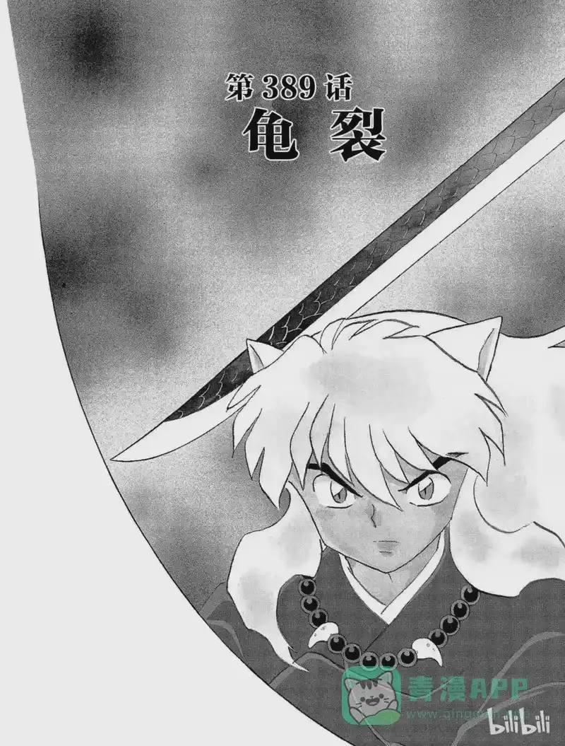 犬夜叉（WIDE版）_h 389 龟裂 第1页
