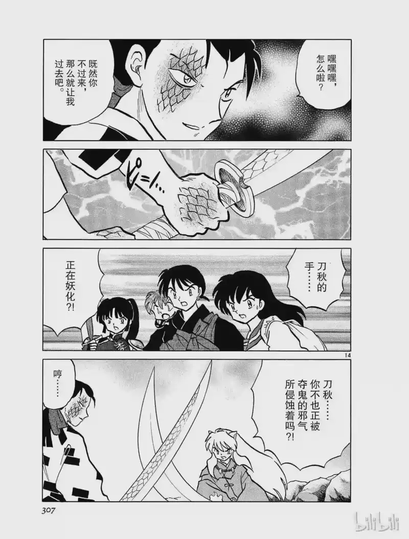 犬夜叉（WIDE版）_h 389 龟裂 第14页