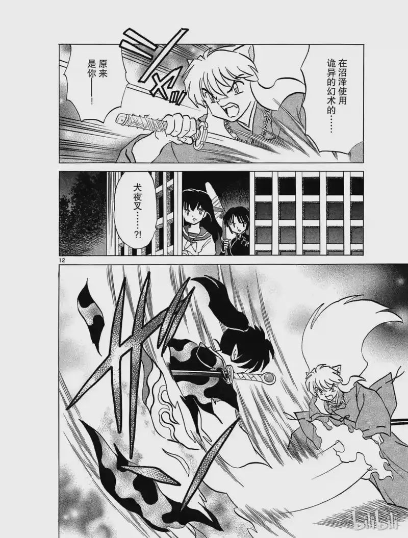犬夜叉（WIDE版）_h 397 梦幻白夜 第12页