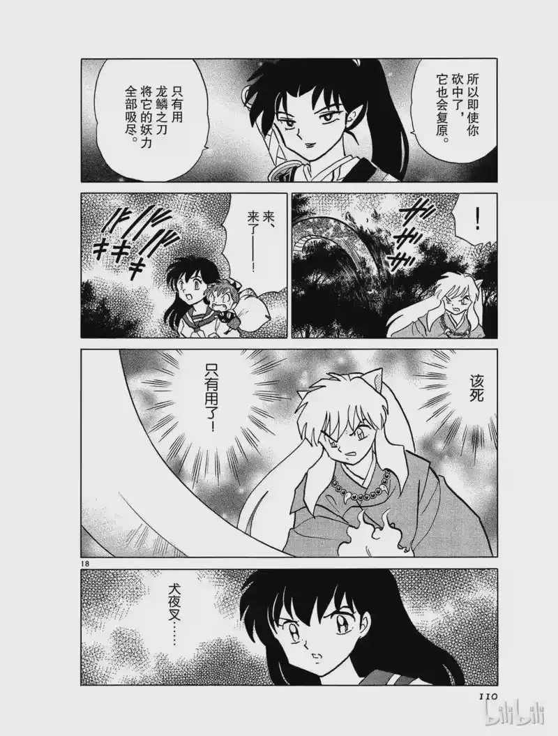 犬夜叉（WIDE版）_h 397 梦幻白夜 第18页