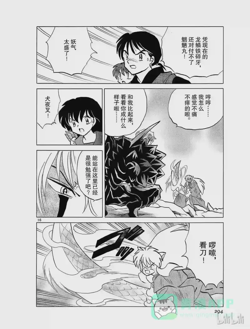 犬夜叉（WIDE版）_h 407 杀生丸的危机 第16页