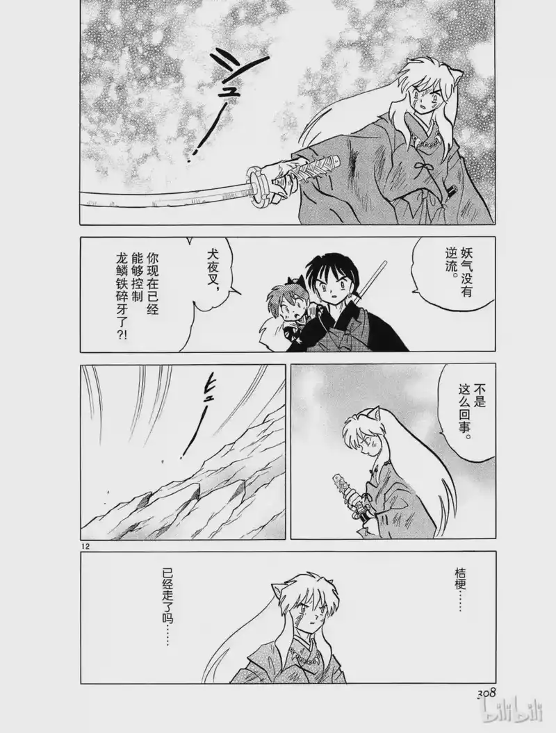 犬夜叉（WIDE版）_h 408 逃走的理由 第12页