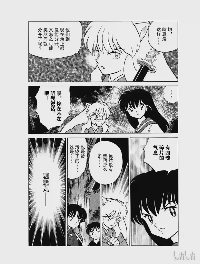犬夜叉（WIDE版）_h 417 深深的羁绊 第12页
