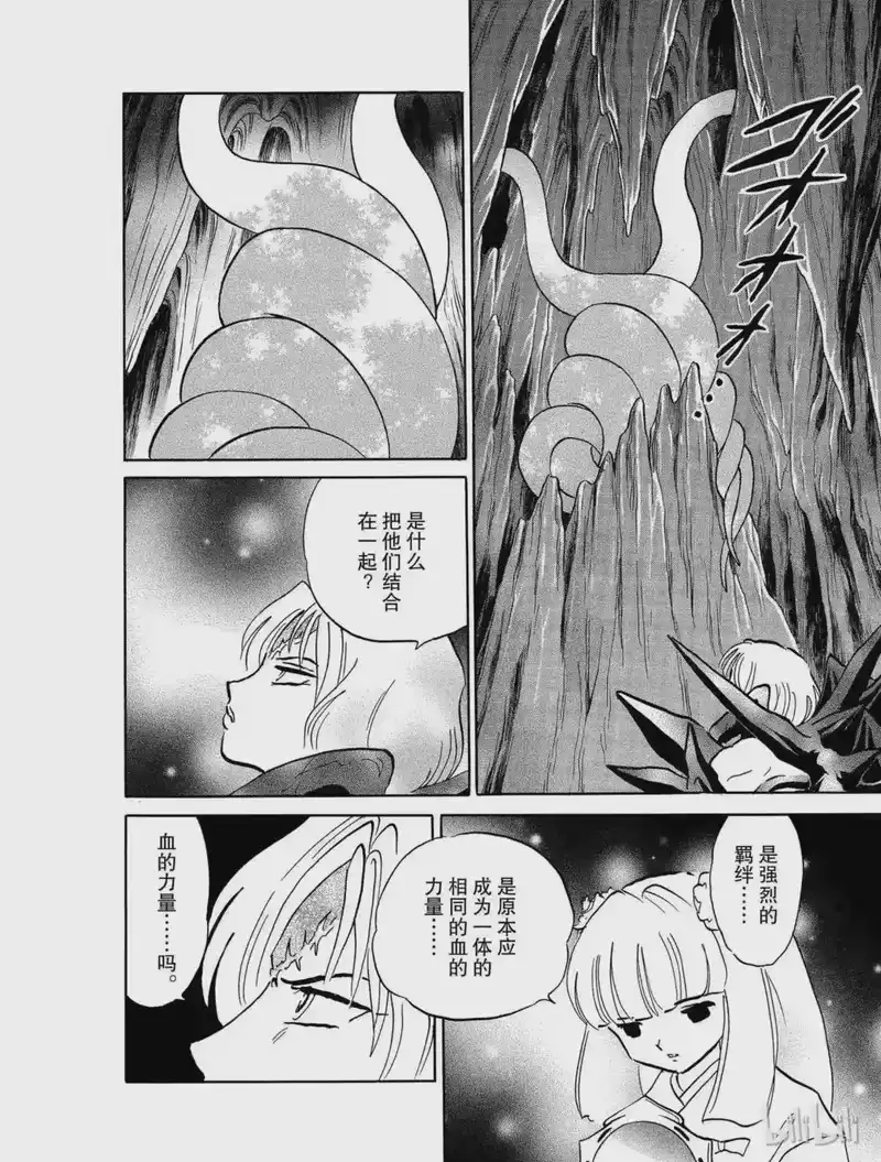 犬夜叉（WIDE版）_h 417 深深的羁绊 第14页