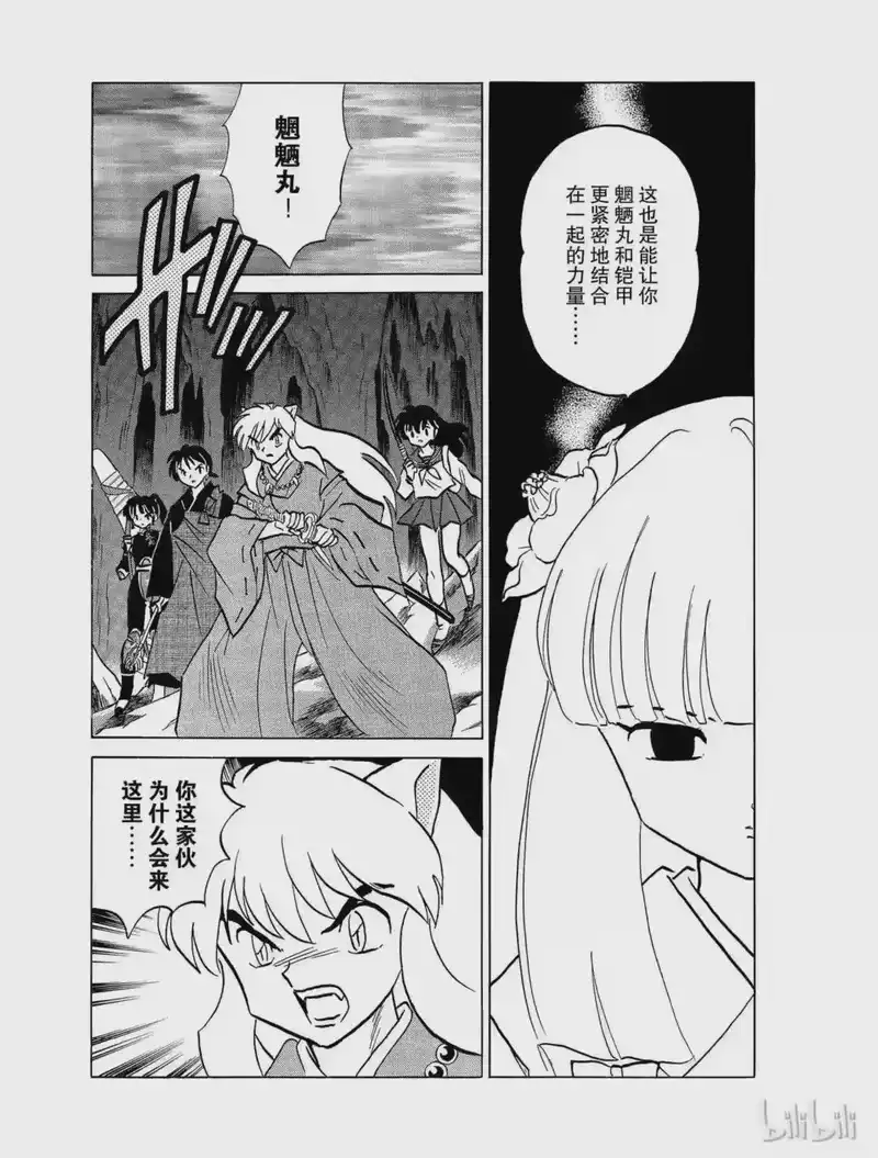 犬夜叉（WIDE版）_h 417 深深的羁绊 第15页