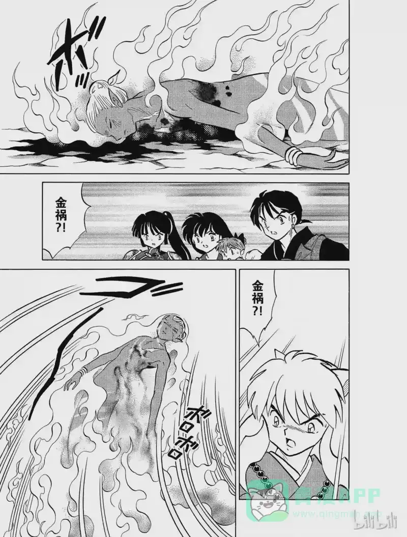 犬夜叉（WIDE版）_h 421 同化 第11页