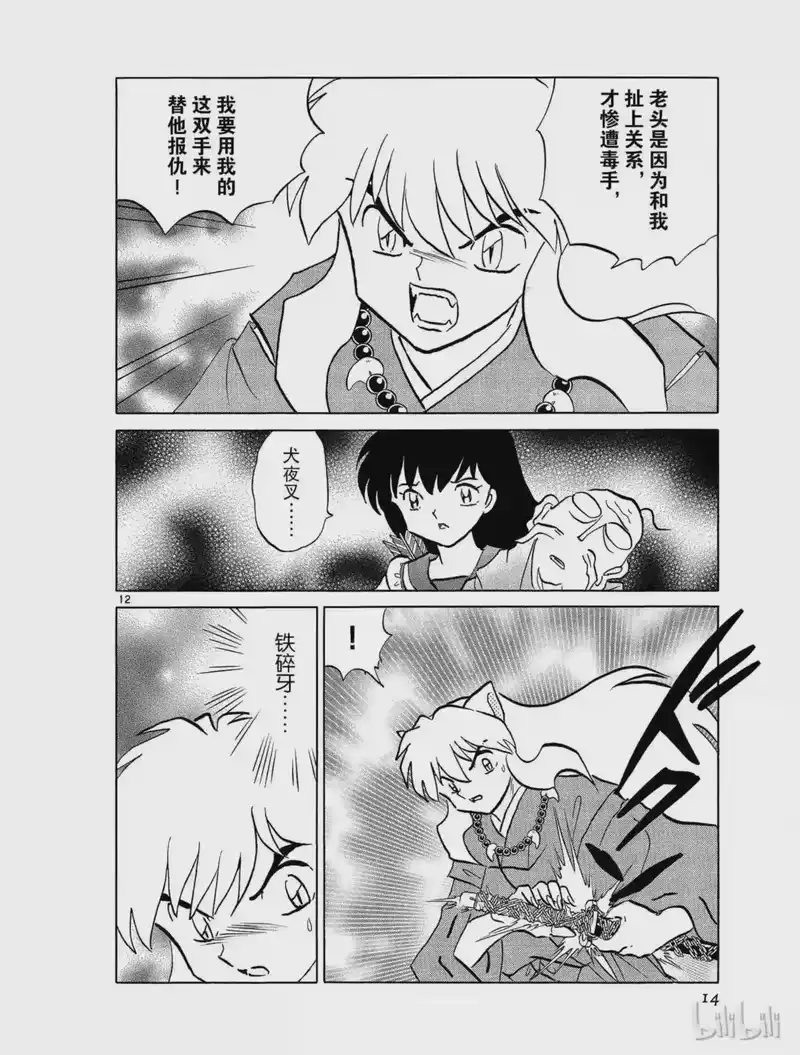犬夜叉（WIDE版）_h 429 真正的敌人 第14页