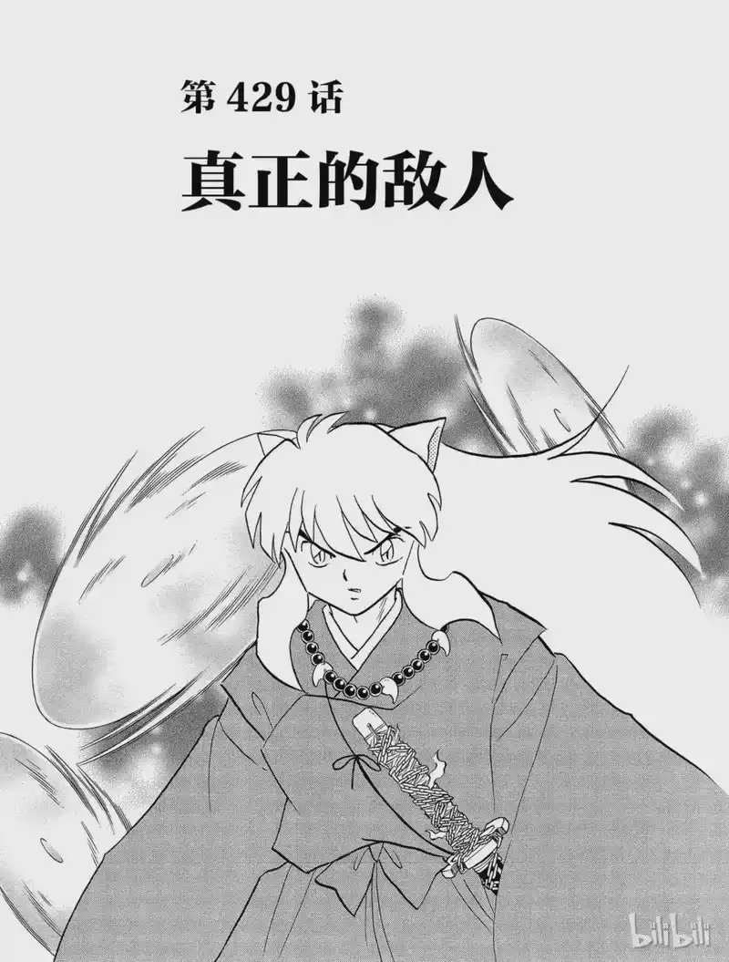 犬夜叉（WIDE版）_h 429 真正的敌人 第3页