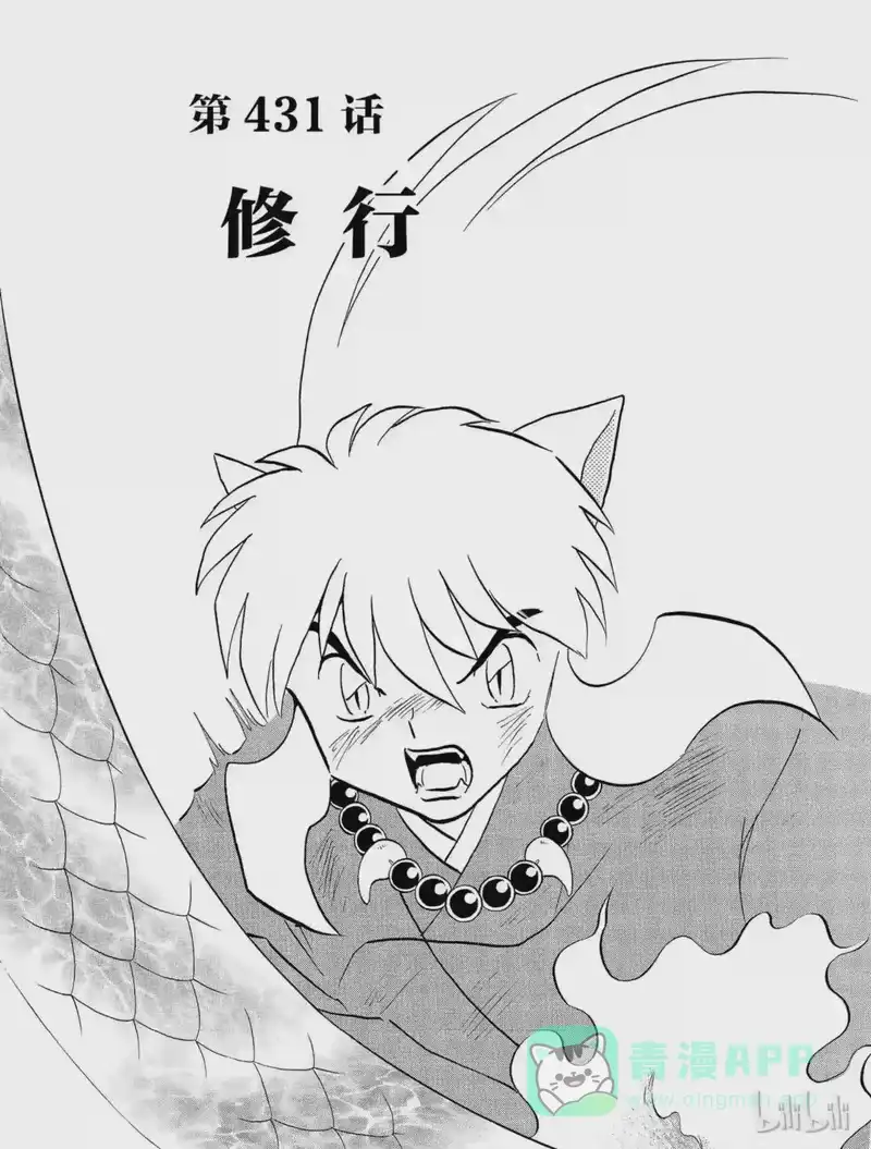 犬夜叉（WIDE版）_h 431 修行 第1页
