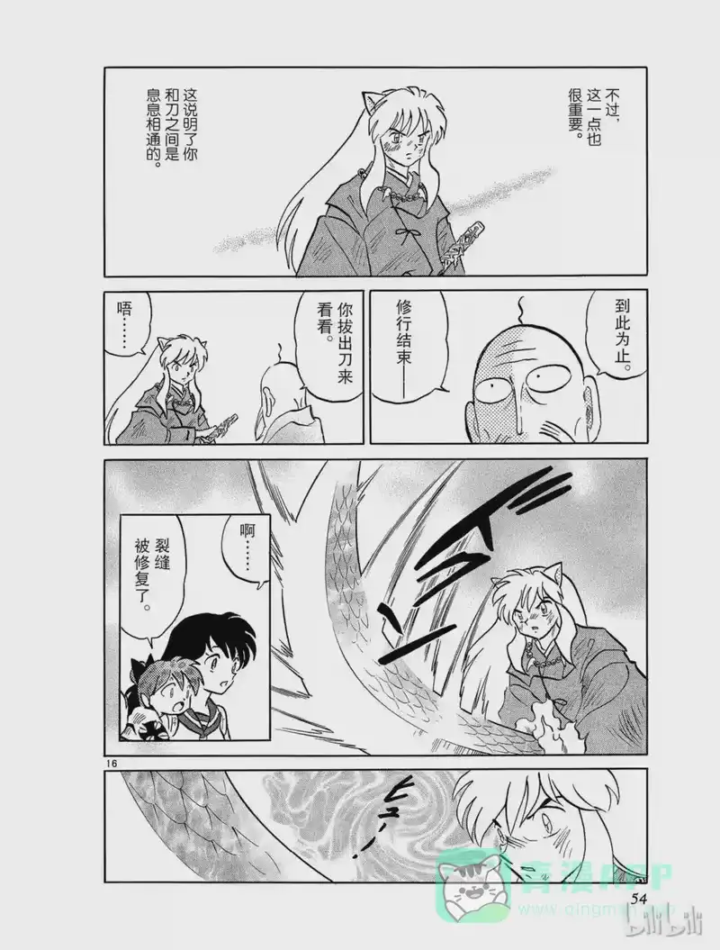 犬夜叉（WIDE版）_h 431 修行 第16页